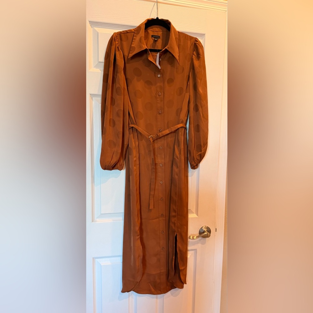 NWT Ann Taylor belted midi buttoned shirtdress in spiced cider color size 8